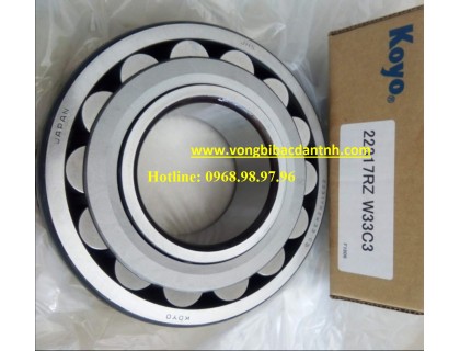 BẠC ĐẠN 22207RZW33C3